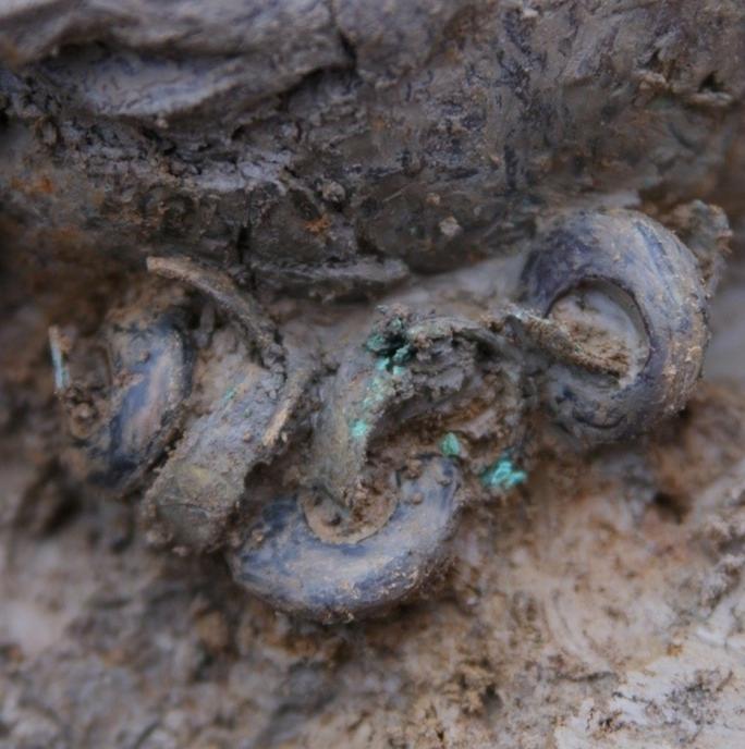 Afbeelding 3a: de ringen met kralen, zoals ze gevonden werden in de grond. Foto: ADC ArcheoProjecten